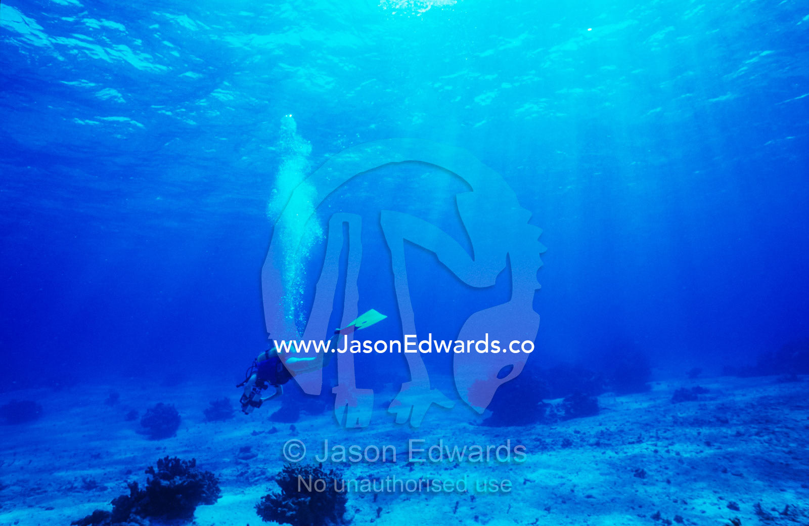 A scuba diver explores the clear waters of a remote tropical reef. Coral Sea, Queensland, Australia