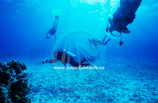 A team of scuba divers explore the clear waters of a tropical reef. Coral Sea, Queensland, Australia