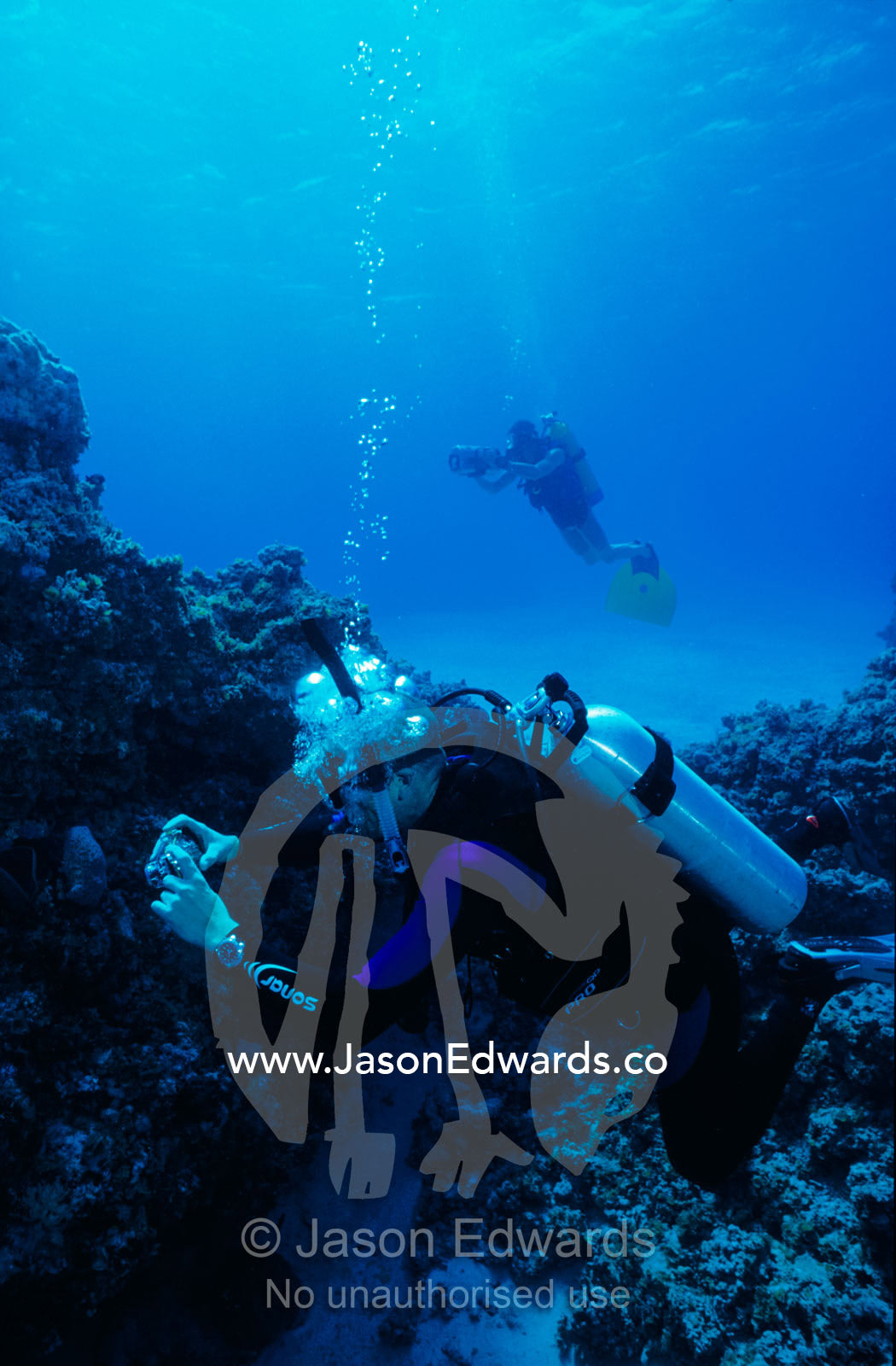 Scuba divers with a digital and video cameras explore a tropical reef. Coral Sea, Queensland, Australia