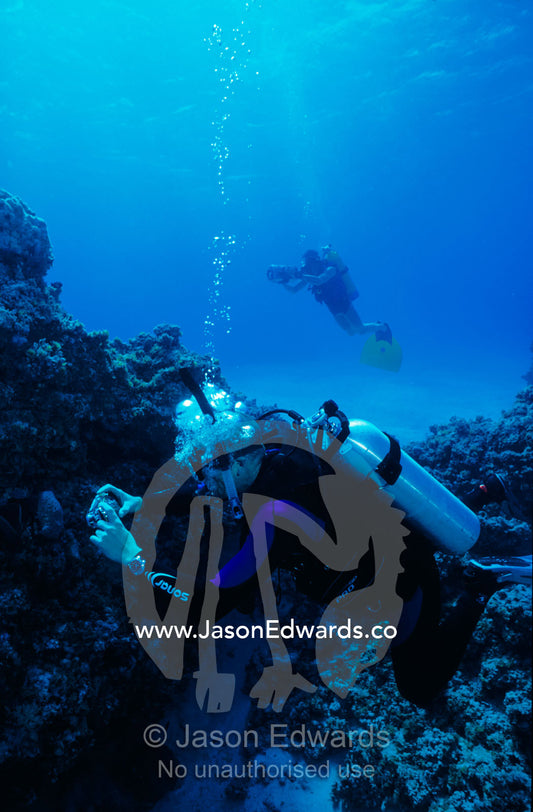 Scuba divers with a digital and video cameras explore a tropical reef. Coral Sea, Queensland, Australia
