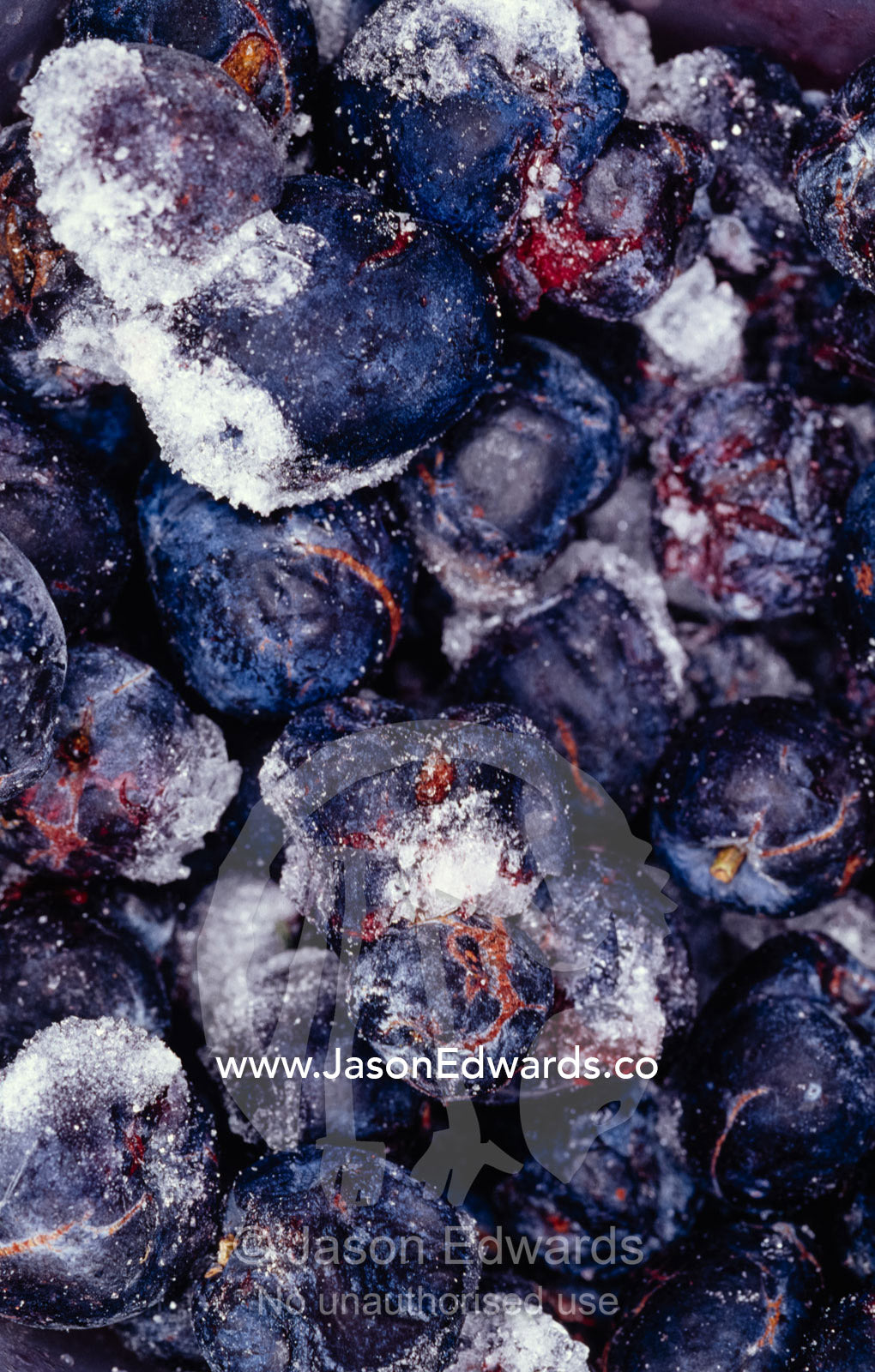 A bag of frozen midnight blue Illawarra Plums in a store deep freeze. Sydney, New South Wales, Australia
