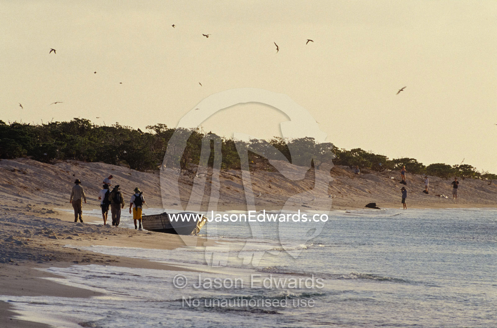Tourists and researchers explore the shore of an uninhabited island. Coral Sea, Queensland, Australia
