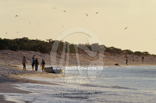 Tourists and researchers explore the shore of an uninhabited island. Coral Sea, Queensland, Australia