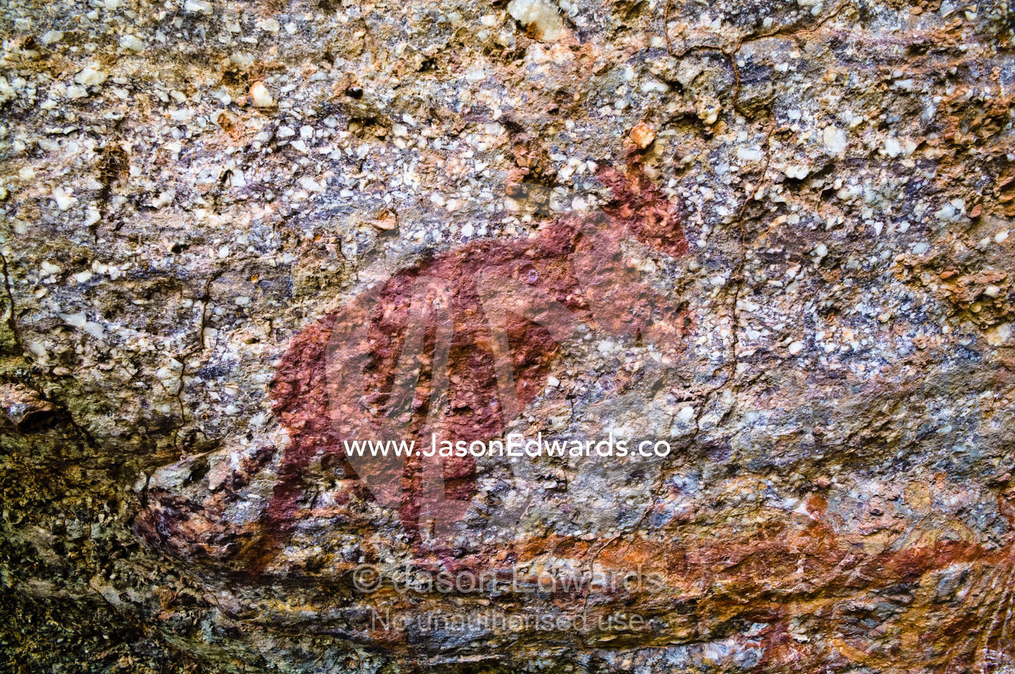 Aboriginal rock art dating back thousands of years depicts a kangaroo. Nourlangie, Nawurlandja, Anbangbang Billabong, Kakadu National Park, Northern Territory, Australia.