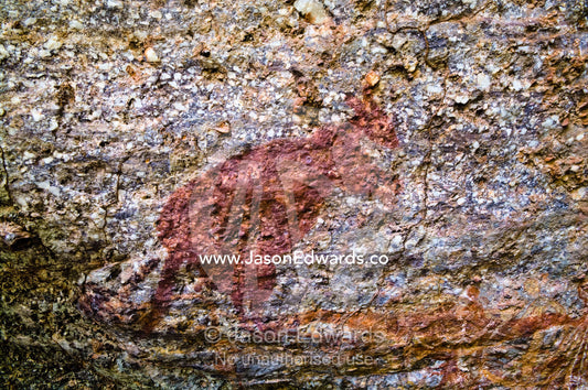 Aboriginal rock art dating back thousands of years depicts a kangaroo. Nourlangie, Nawurlandja, Anbangbang Billabong, Kakadu National Park, Northern Territory, Australia.