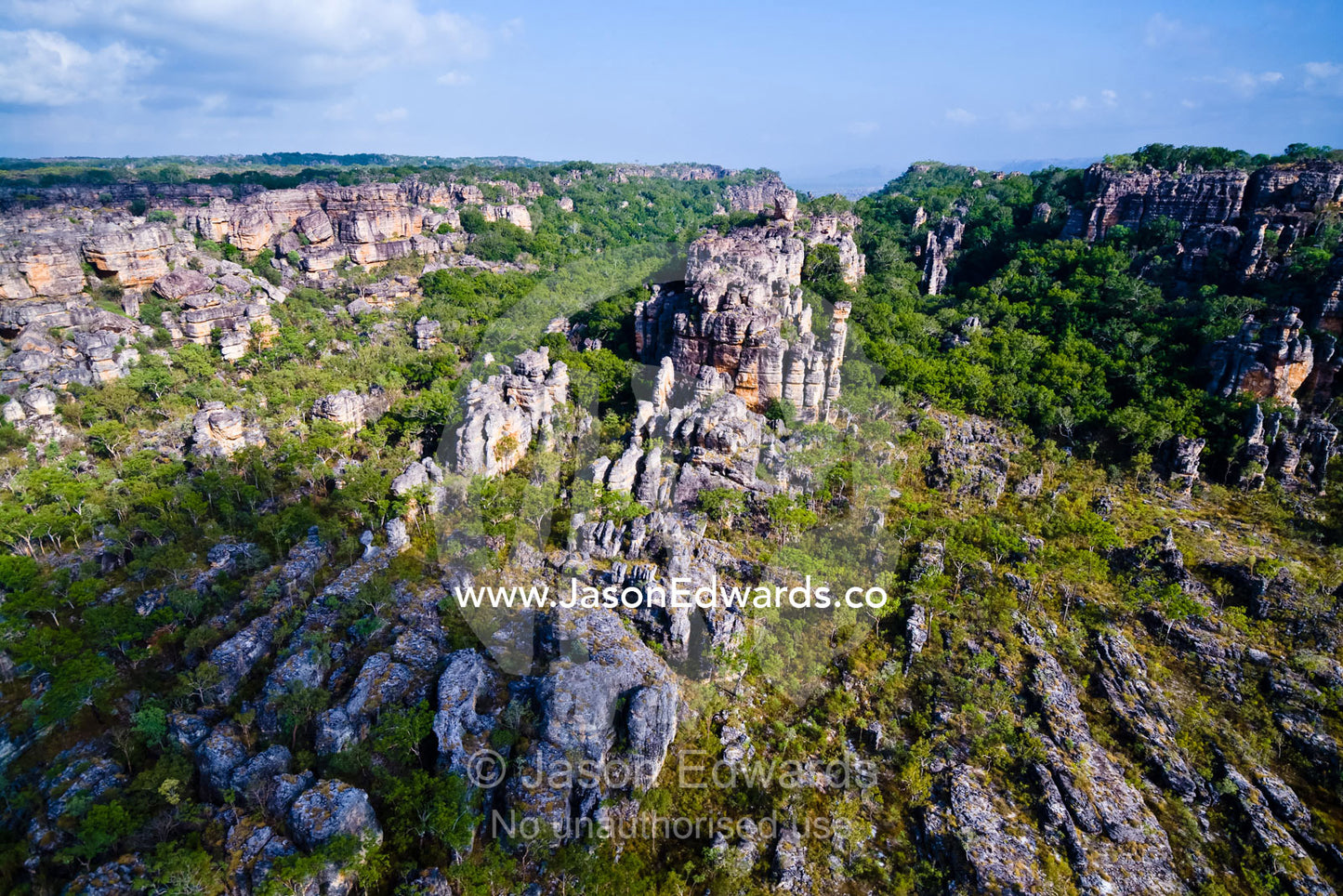 Tropical Monsoon Rainforest in deep sandstone gorges below a plateau. Dinosaur Valley, Arnhem Land Border, Kakadu National Park, Northern Territory, Australia.