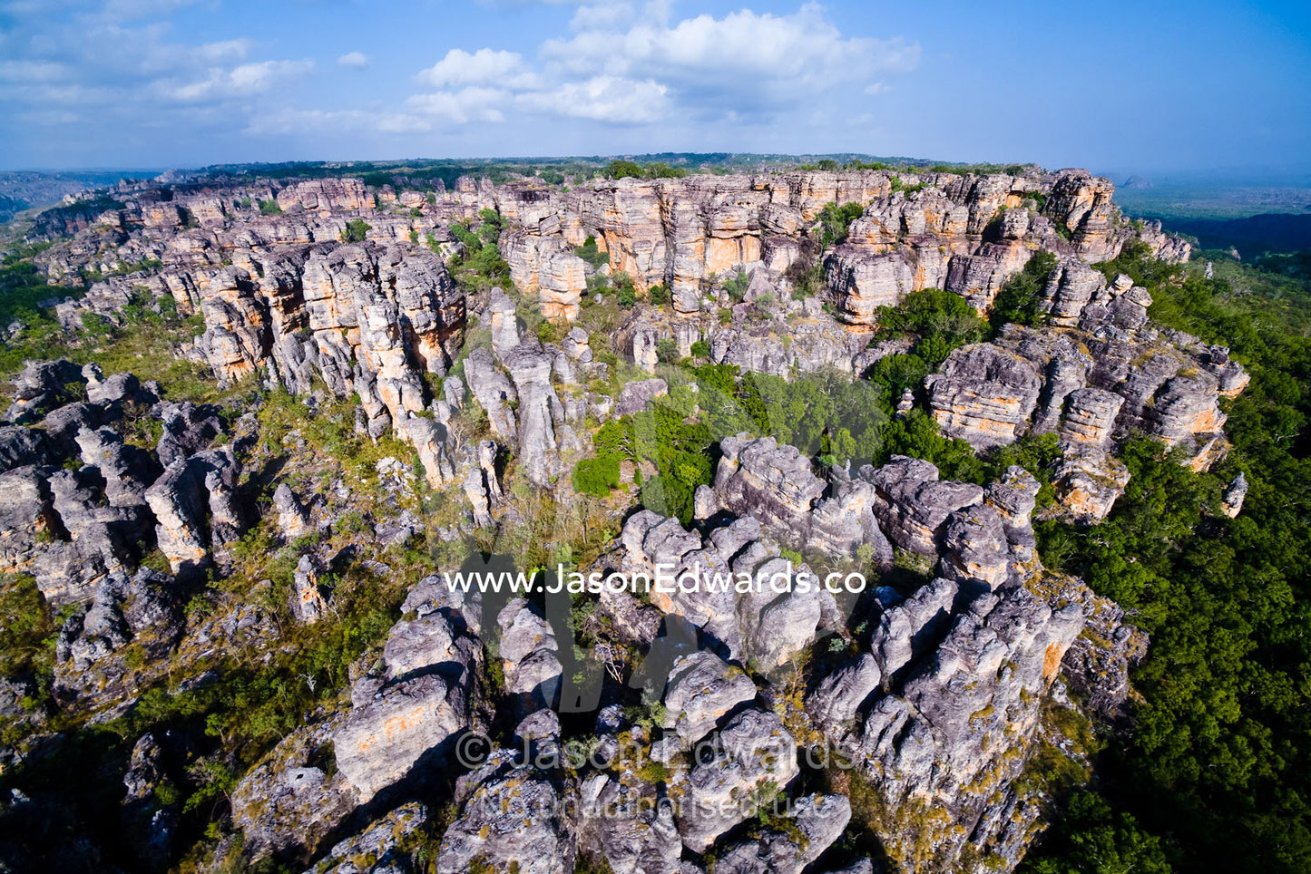 Tropical Monsoon Rainforest in deep sandstone gorges below a plateau. Dinosaur Valley, Arnhem Land Border, Kakadu National Park, Northern Territory, Australia.