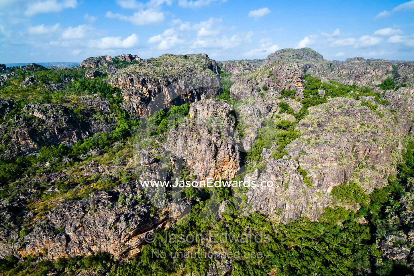 Tropical Monsoon Rainforest in deep sandstone gorges below a plateau. Arnhem Land Border, Kakadu National Park, Northern Territory, Australia.