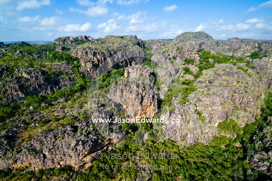 Tropical Monsoon Rainforest in deep sandstone gorges below a plateau. Arnhem Land Border, Kakadu National Park, Northern Territory, Australia.