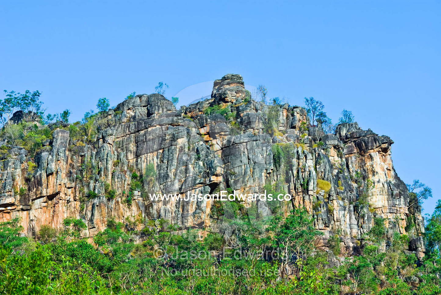A rugged and weathered sandstone escarpment rises over a forest canopy. Kakadu National Park, Northern Territory, Australia.