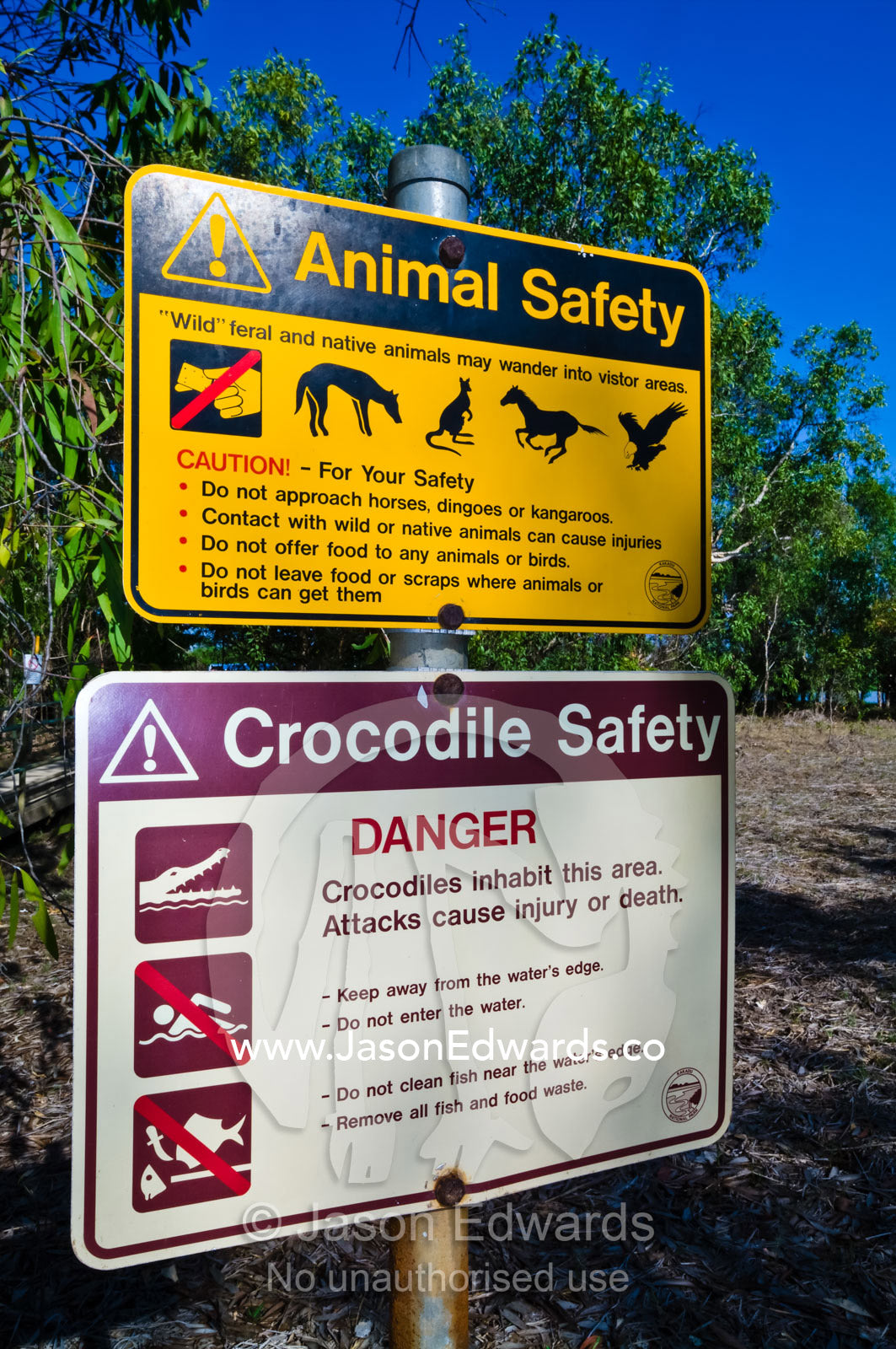 Graphic signs warn of Saltwater Crocodile and feral animal dangers. Yellow Water Billabong, Jim Jim Creek, South Alligator River, Kakadu National Park, Northern Territory, Australia.