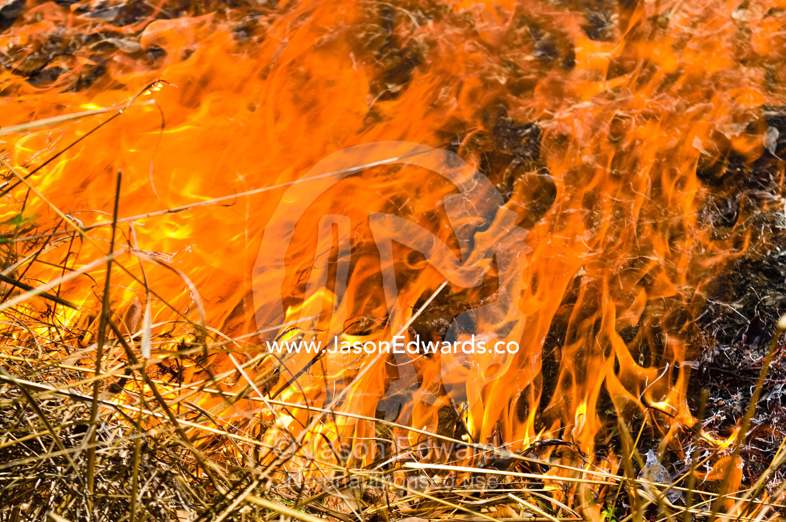 Searing flames burn through tropical grasslands and Open Woodland. Kakadu National Park, Northern Territory, Australia.
