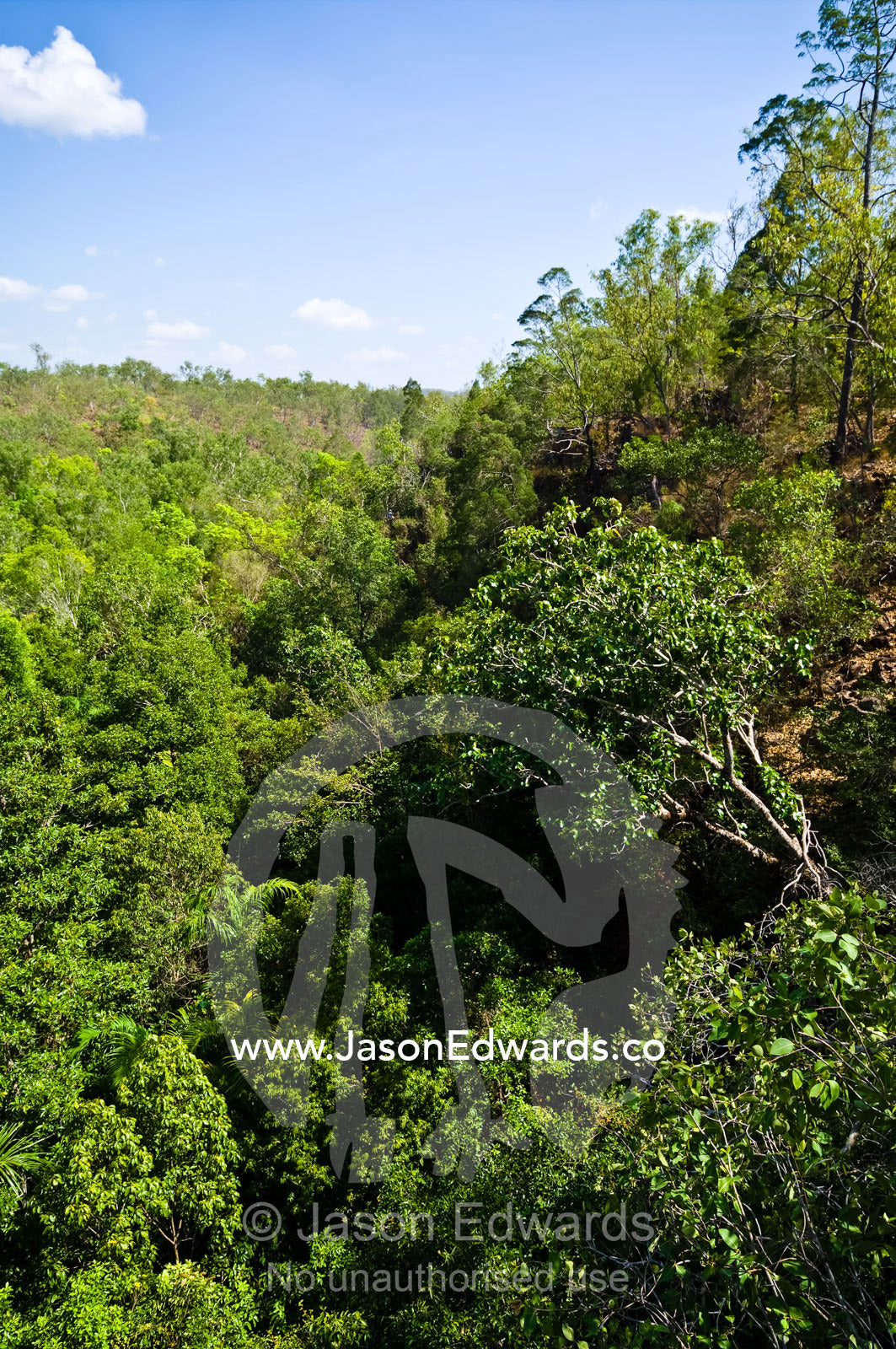 Remnant pockets of Tropical Monsoon Rainforest fill rugged gorges. Florence Falls, Litchfield National Park, Northern Territory, Australia.