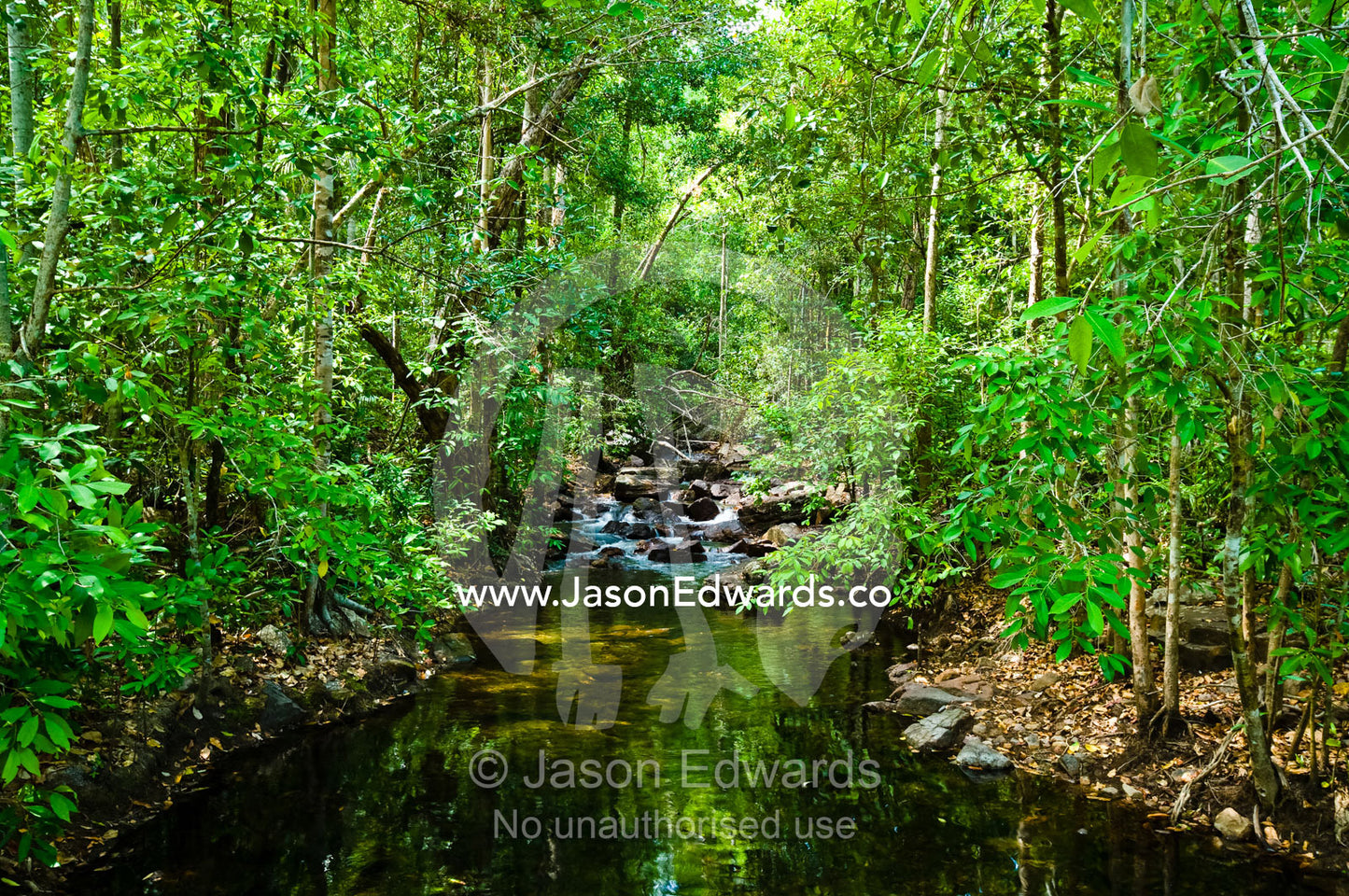 A stream flows through Tropical Monsoon Rainforest in a rugged gorge. Florence Falls, Litchfield National Park, Northern Territory, Australia.