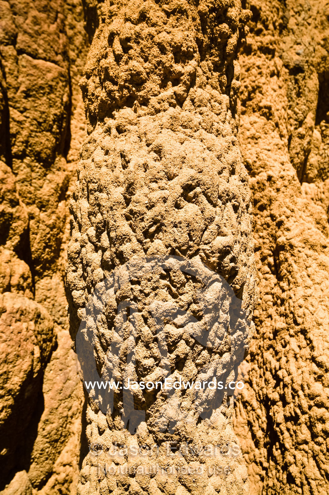 The textured and folded wall of a towering Cathedral termite mound. Litchfield National Park, Northern Territory, Australia.