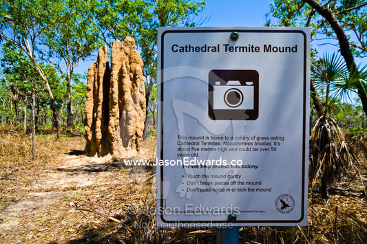 A sign indicates a site for photographing a large termite mound. Litchfield National Park, Northern Territory, Australia.