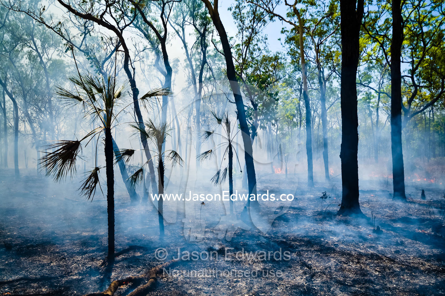Scorched earth and smoke after fire burns tropical open woodland. Litchfield National Park, Northern Territory, Australia.