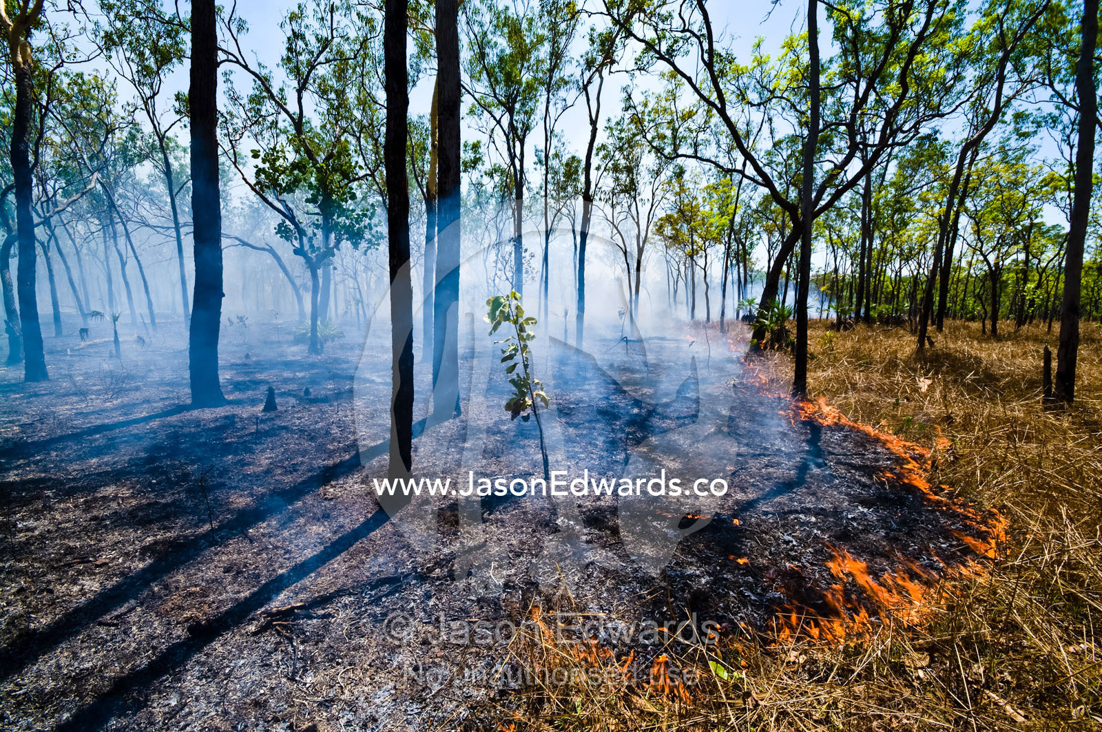 Scorched earth and smoke after fire burns grasslands and open woodland. Litchfield National Park, Northern Territory, Australia.