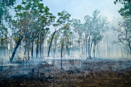 Scorched earth and smoke after a fire burns through open woodland. Litchfield National Park, Northern Territory, Australia.