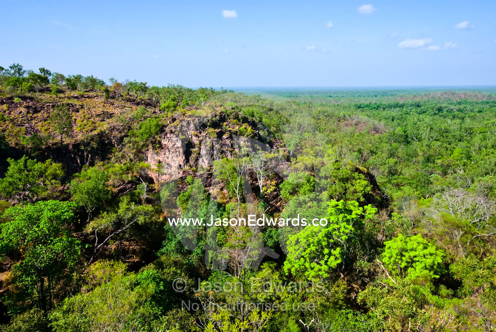 A small patch of monsoon vine thicket near tropical savanna woodland. Tolmer Falls, Litchfield National Park, Northern Territory, Australia.