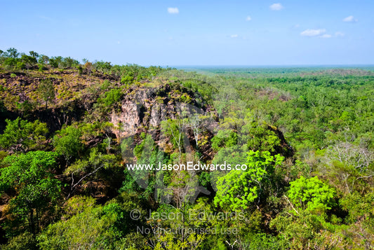 A small patch of monsoon vine thicket near tropical savanna woodland. Tolmer Falls, Litchfield National Park, Northern Territory, Australia.