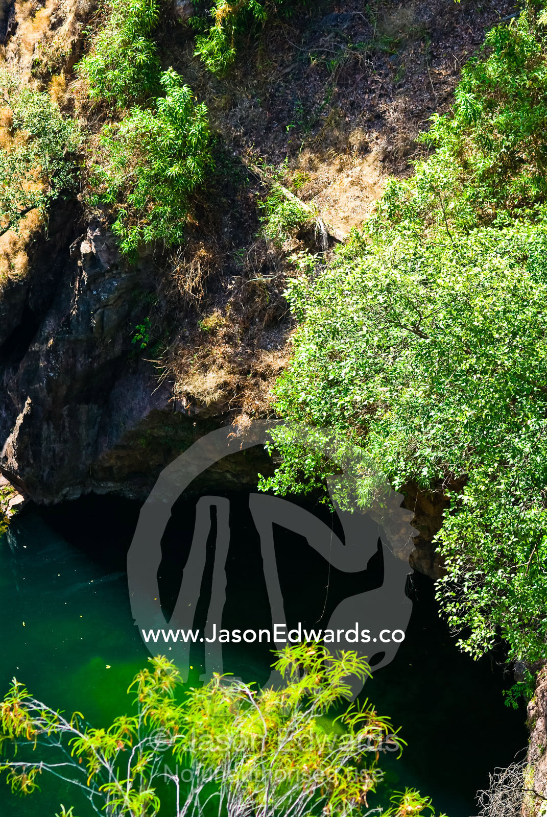 A deep green pool of water at the base of a sandstone sinkhole. Tolmer Falls, Litchfield National Park, Northern Territory, Australia.