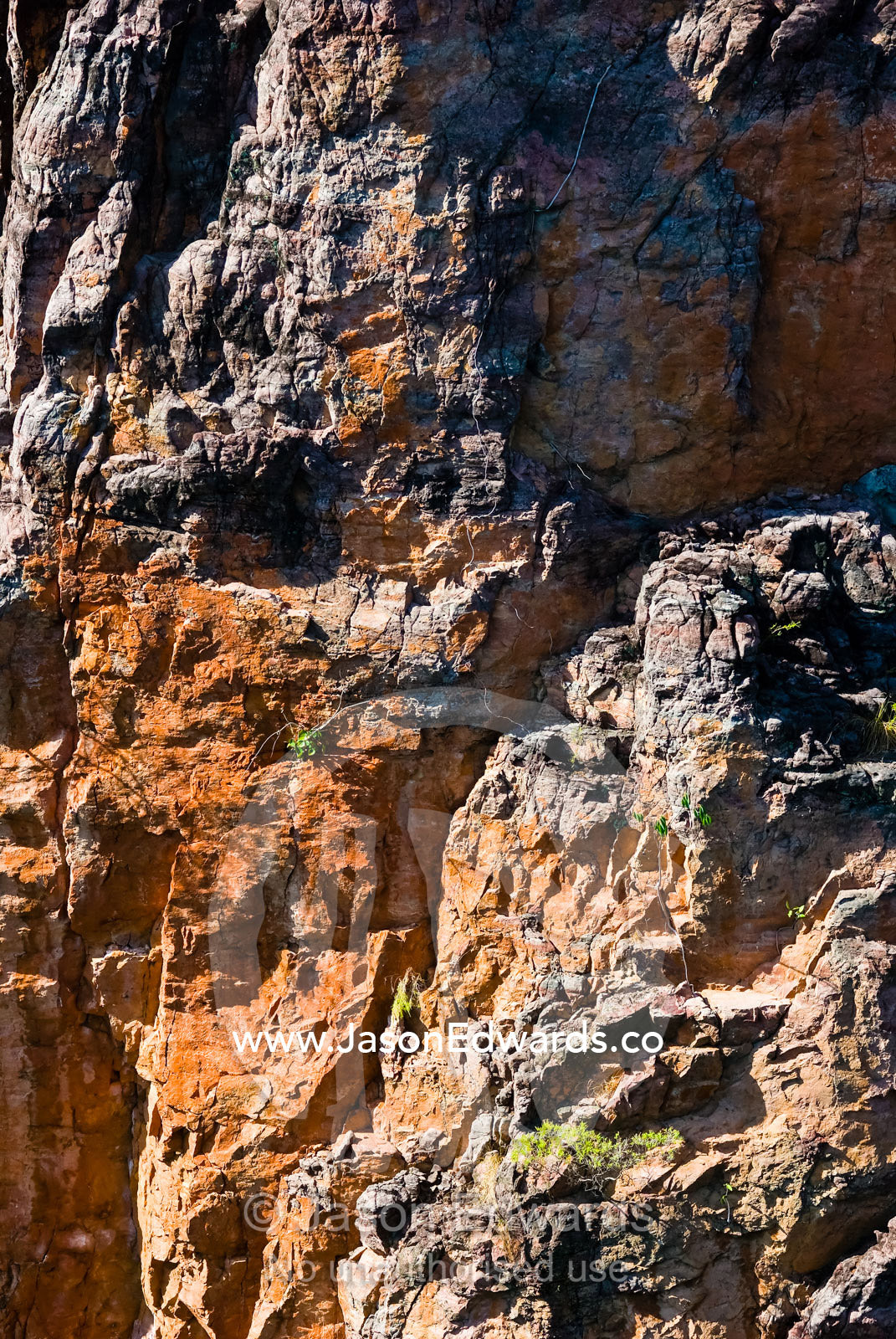 The rugged texture of an ancient weathered sandstone rock face. Tolmer Falls, Litchfield National Park, Northern Territory, Australia.
