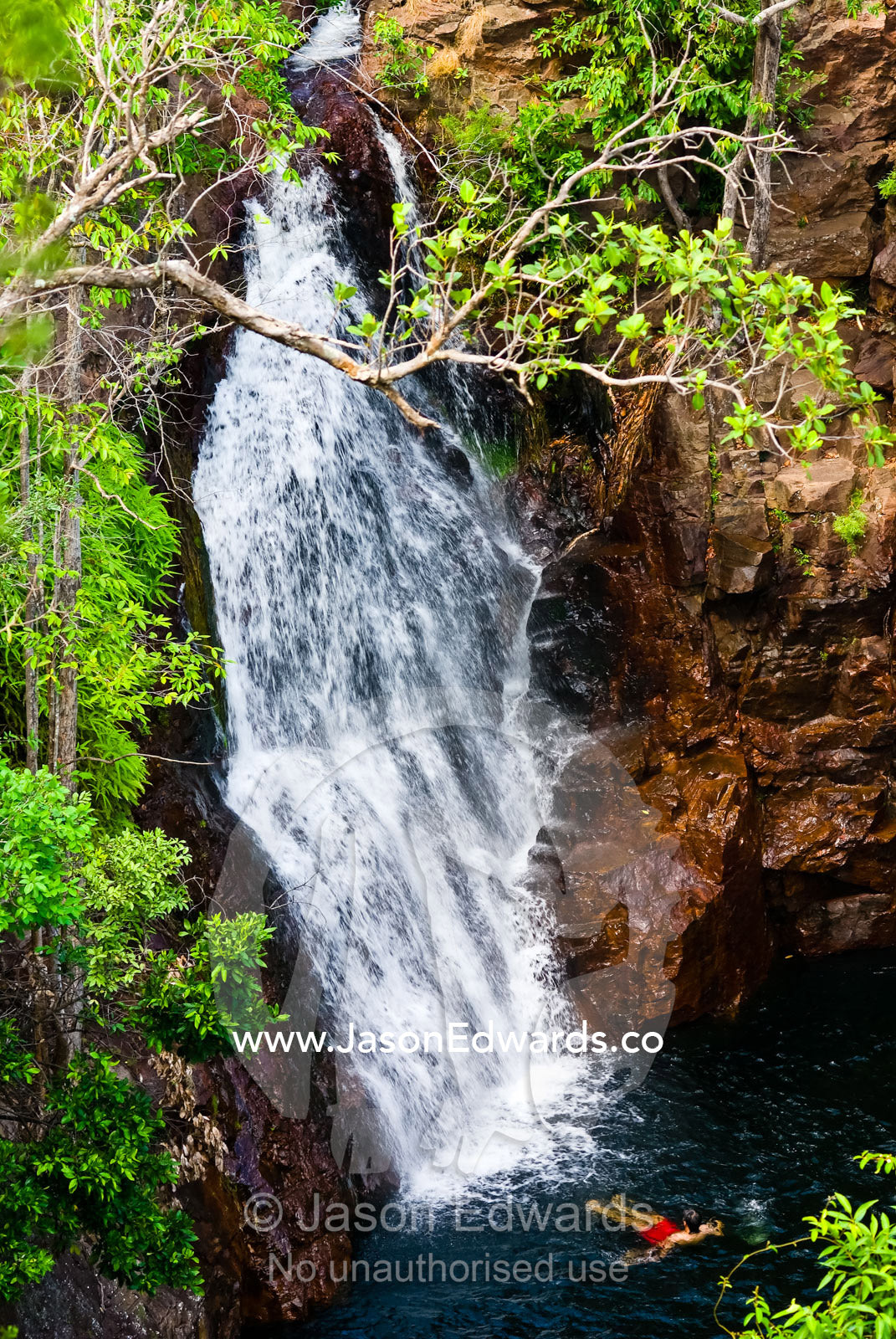 A tourist swimming beneath the cascading and pristine Florence Falls. Florence Falls, Litchfield National Park, Northern Territory, Australia.