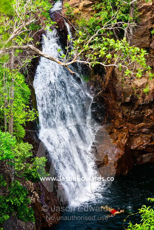 A tourist swimming beneath the cascading and pristine Florence Falls. Florence Falls, Litchfield National Park, Northern Territory, Australia.