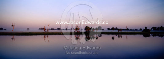 The reflection of trees in a calm mist shrouded billabong before dawn. Yellow Water Billabong, Jim Jim Creek, South Alligator River, Kakadu National Park, Northern Territory, Australia.
