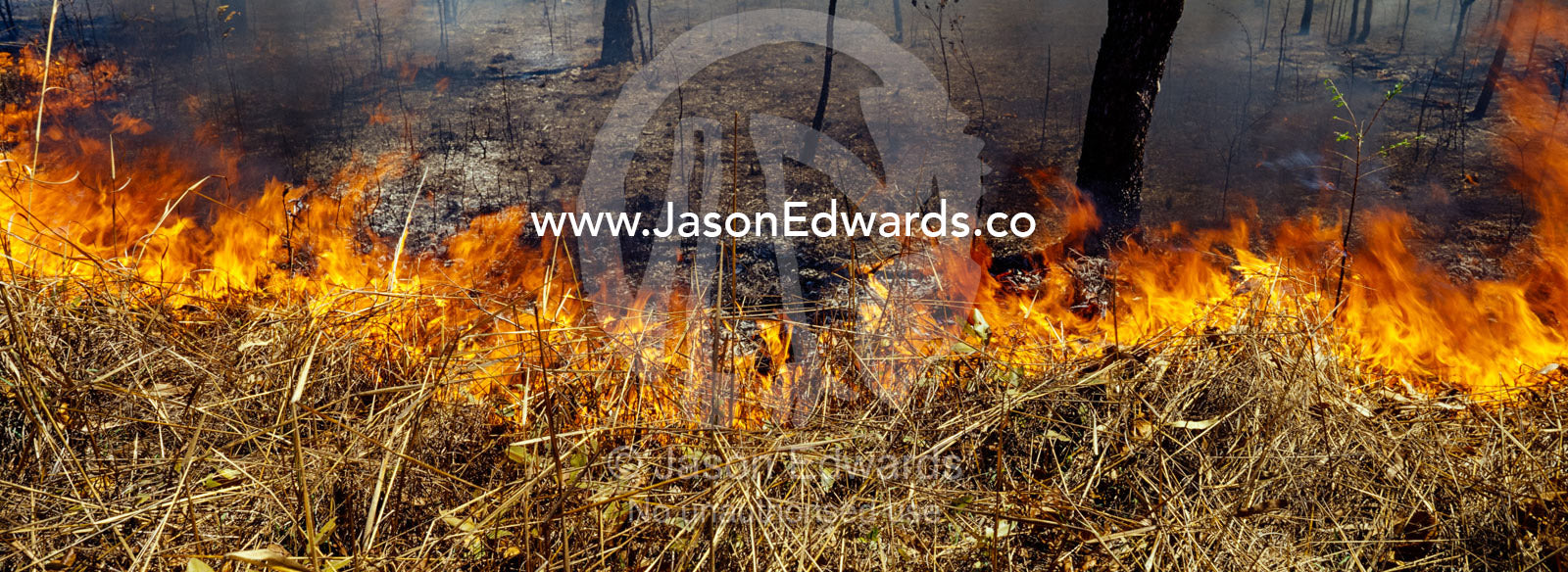 Raging flames burn Top End tropical grasslands and open woodland. Kakadu National Park, Northern Territory, Australia.