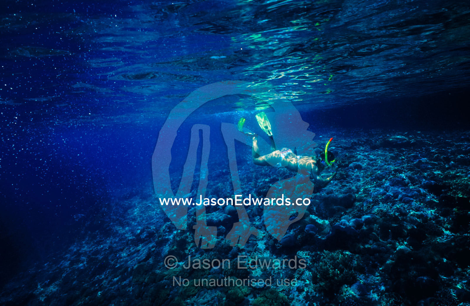 A bikini-clad tourist snorkels in warm tropical seas over a coral reef Lembongan Point, Nusa Lembongan, Bali, Indonesia.