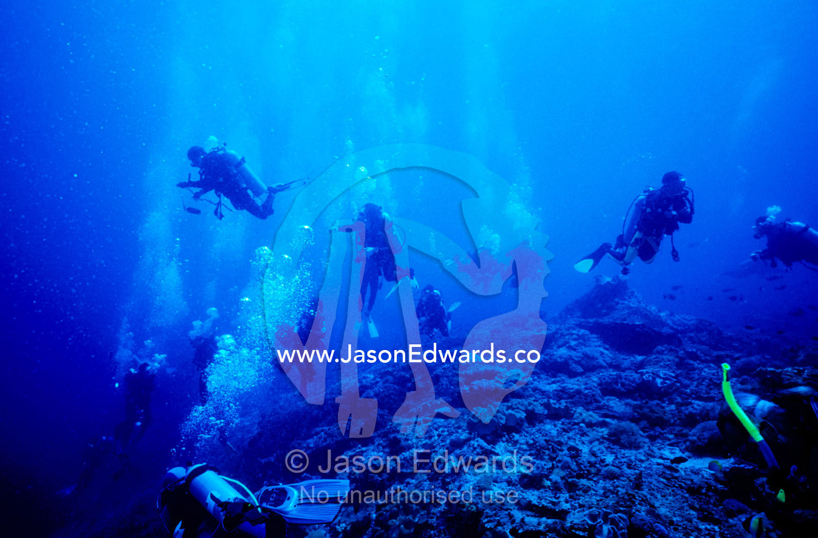 A swarm of scuba divers swims over fragile tropical coral reefs. Crystal Bay, Nusa Ceningan, Nusa Penida, Bali, Indonesia.