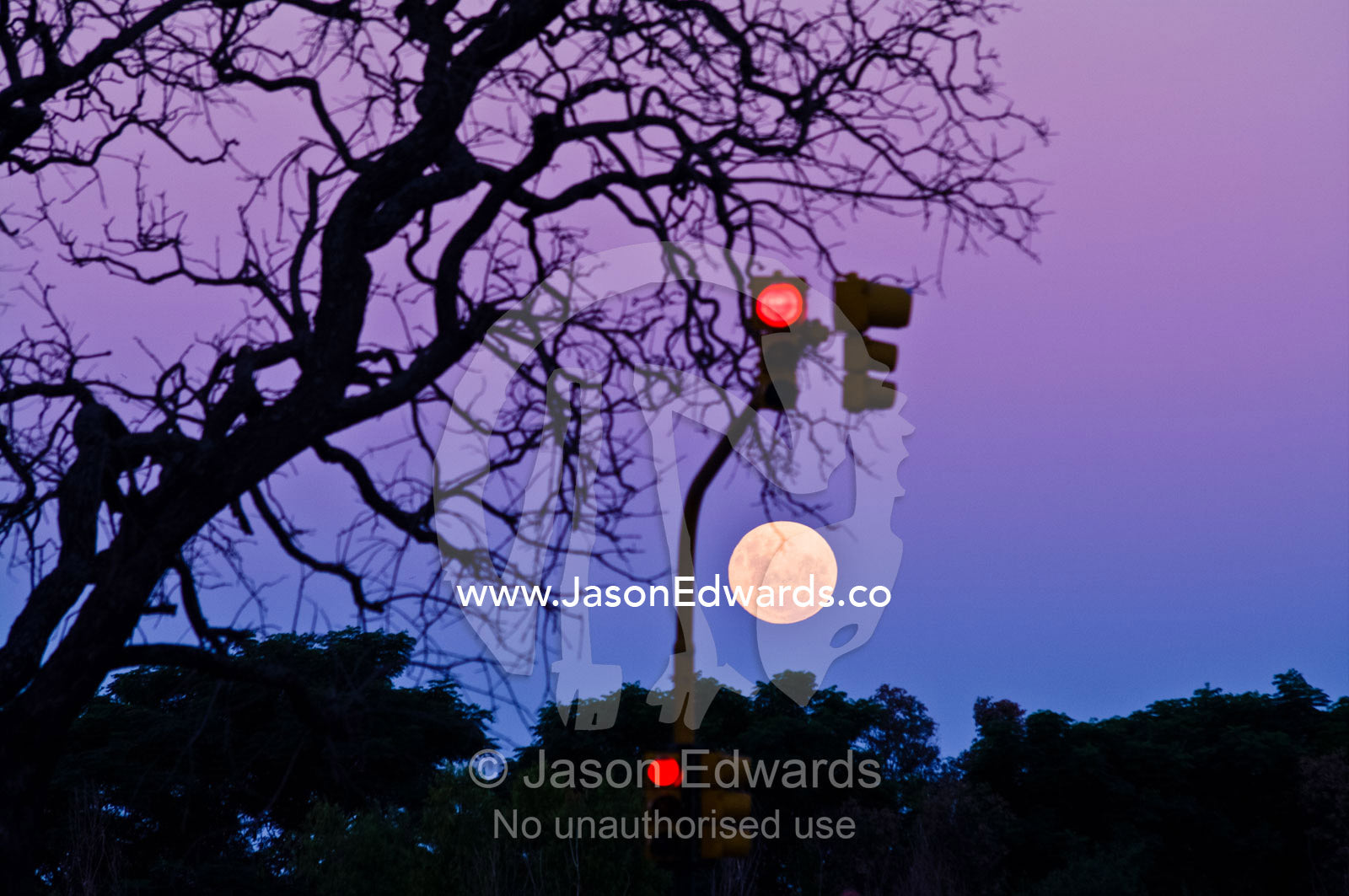 A pastel moonrise over a tree-lined horizon near red traffic lights. Puerto Madero, Buenos Aires, Argentina.