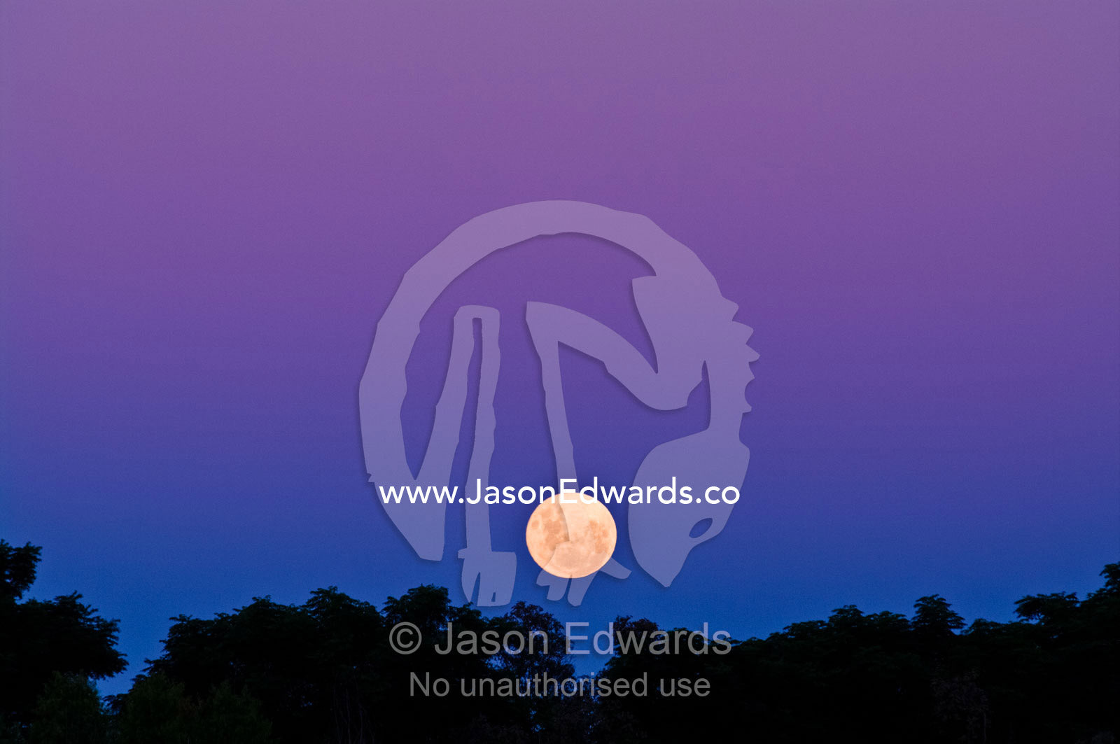 A pastel moonrise over a tree-lined horizon. Puerto Madero, Buenos Aires, Argentina.