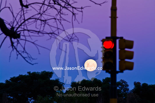 A pastel moonrise over a tree-lined horizon near red traffic lights. Puerto Madero, Buenos Aires, Argentina.