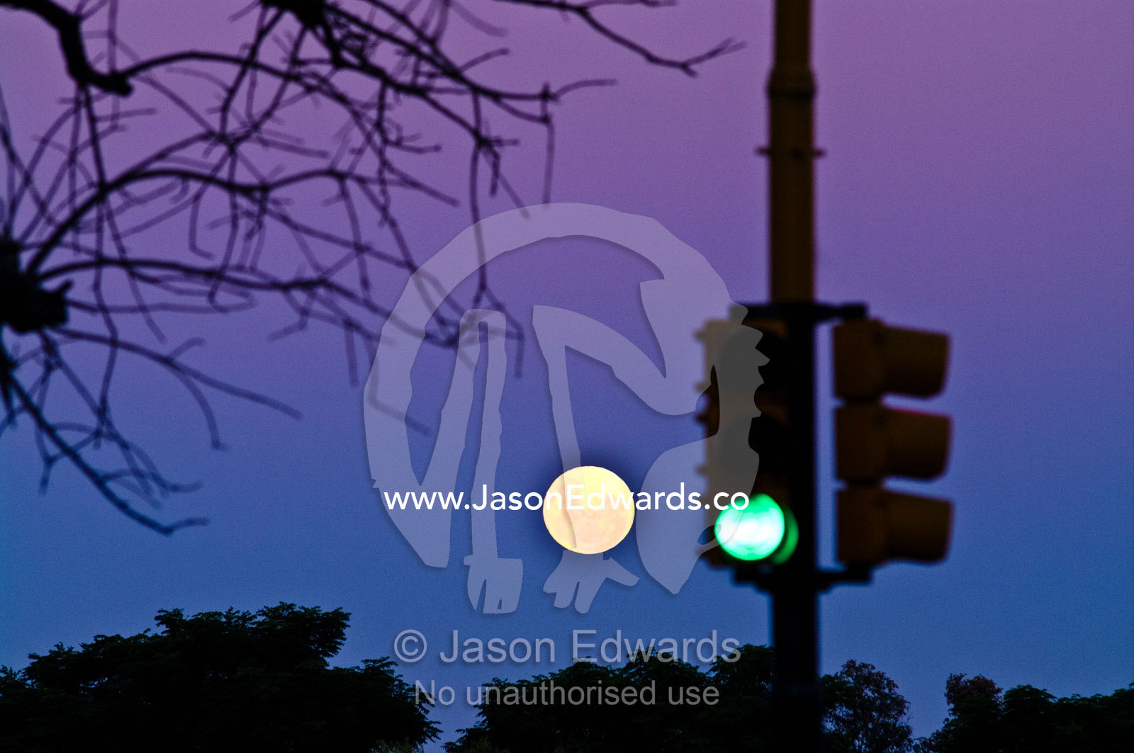A pastel moonrise over a tree-lined horizon near green traffic lights. Puerto Madero, Buenos Aires, Argentina.