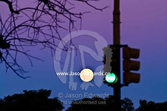 A pastel moonrise over a tree-lined horizon near green traffic lights. Puerto Madero, Buenos Aires, Argentina.