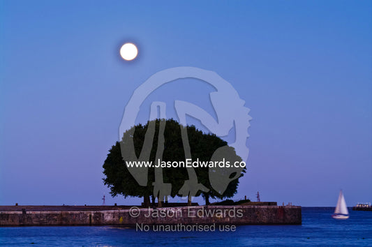 A pastel moonrise over a tree-lined river harbour wall and yacht. R��o de la Plata, River of Silver, Puerto Madero, Buenos Aires, Argentina.