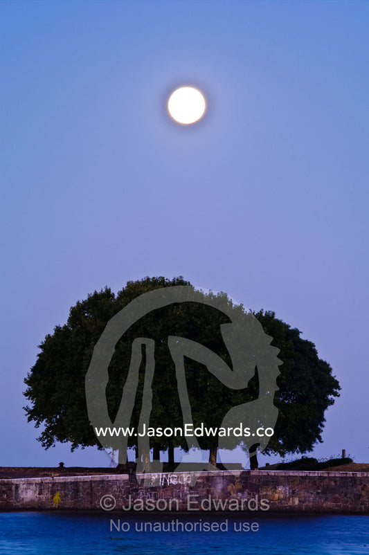 A pastel moonrise over a tree-lined river harbour wall. R��o de la Plata, River of Silver, Puerto Madero, Buenos Aires, Argentina.