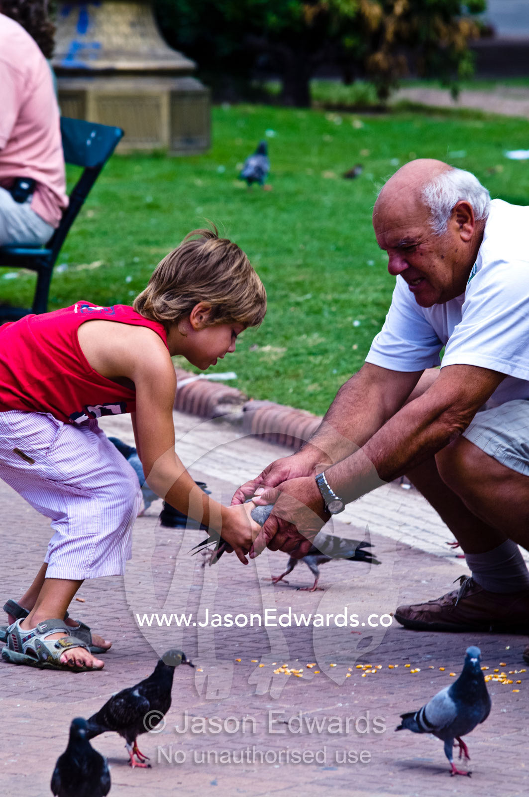 A grandfather teaching his grandson to handle pigeons in a city park. Plaza de Mayo, Buenos Aires, Argentina.