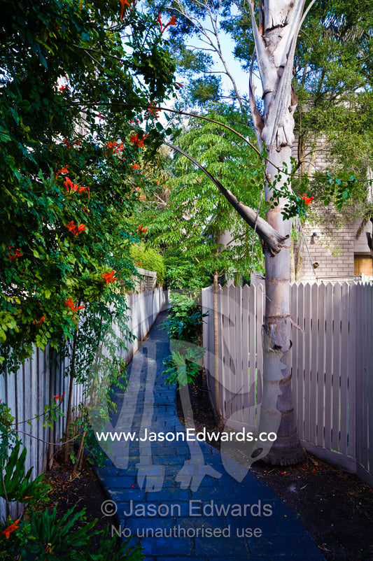 A paved bluestone garden path in an inner city apartment block. Hawthorn East, Melbourne, Victoria, Australia.