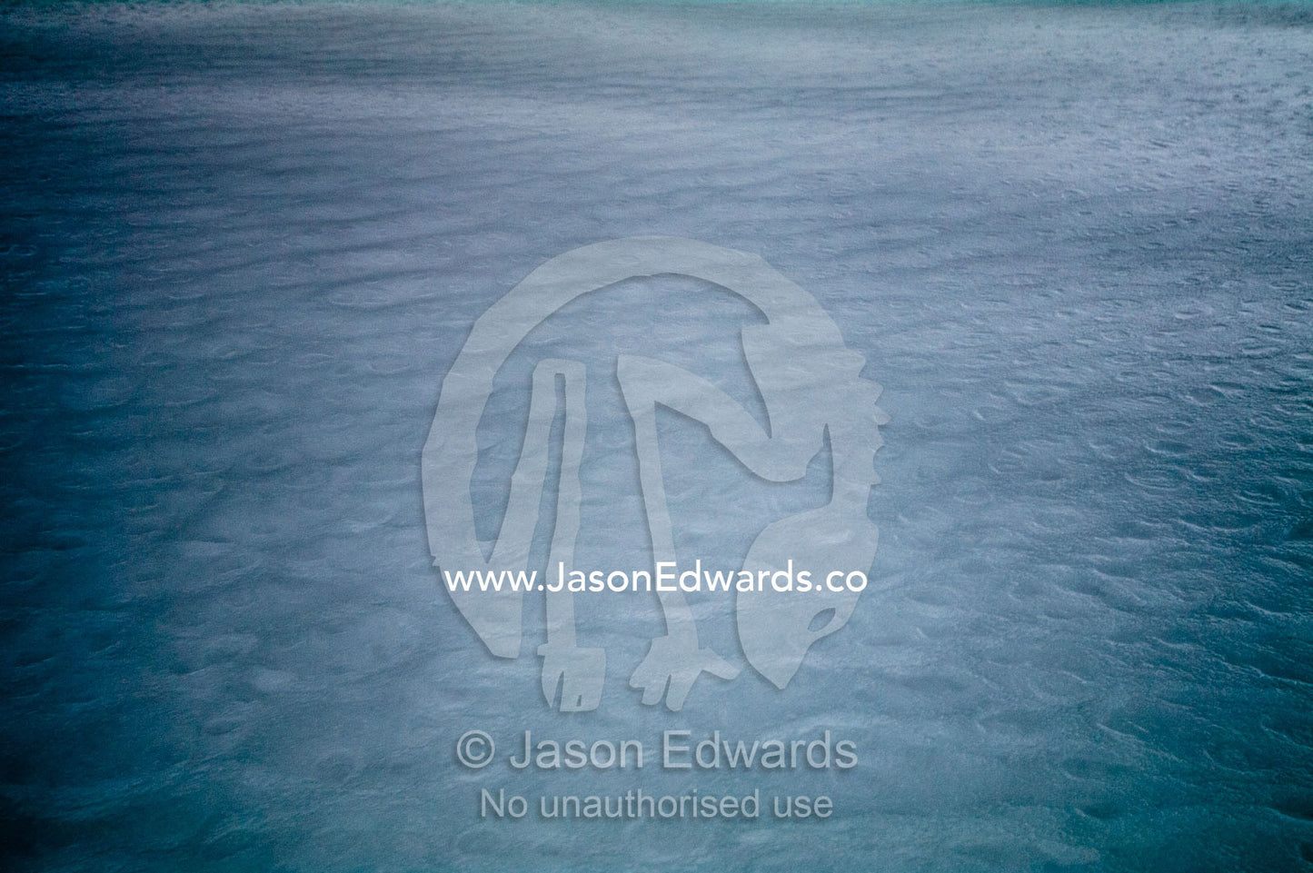 The ocean surface turns silver-grey mercury when Frizzle Ice forms. Crystal Sound, Hanusse Bay, Antarctic Peninsula, Antarctic Circle, Antarctica.