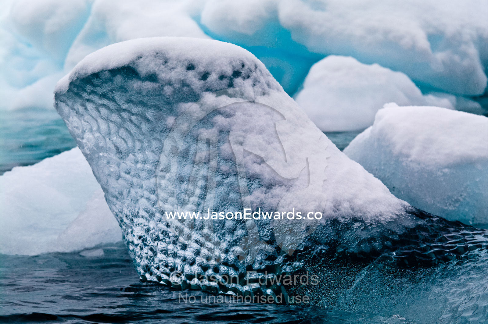 The translucent bubbled surface of a floating iceberg covered on snow. Crystal Sound, Hanusse Bay, Antarctic Peninsula, Antarctic Circle, Antarctica.