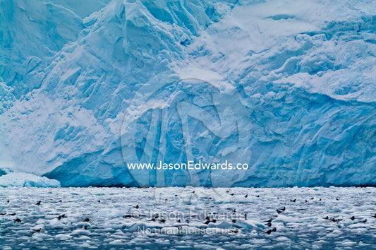 Crystal Sound, Hanusse Bay, Antarctic Peninsula, Antarctic Circle, Antarctica. Crystal Sound, Hanusse Bay, Antarctic Peninsula, Antarctic Circle, Antarctica.