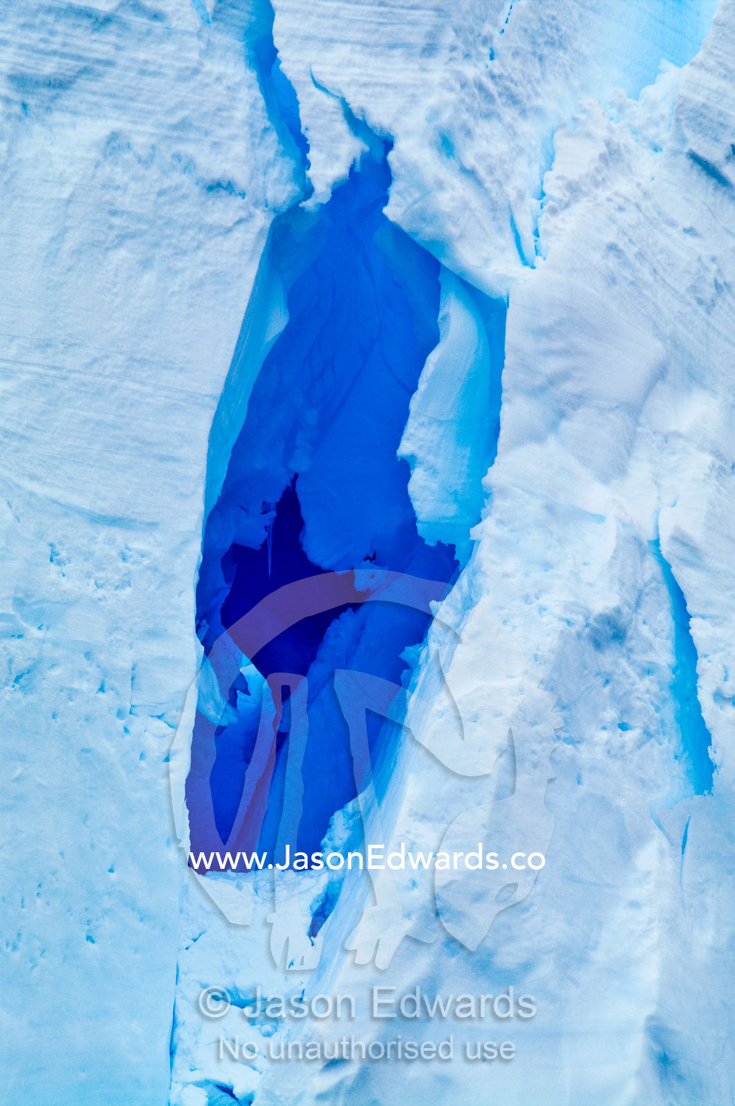 Melting ice water erodes a cave and tunnel in a glacial ice cliff. Crystal Sound, Hanusse Bay, Antarctic Peninsula, Antarctic Circle, Antarctica.