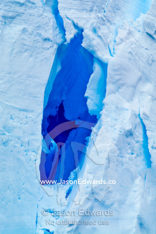 Melting ice water erodes a cave and tunnel in a glacial ice cliff. Crystal Sound, Hanusse Bay, Antarctic Peninsula, Antarctic Circle, Antarctica.