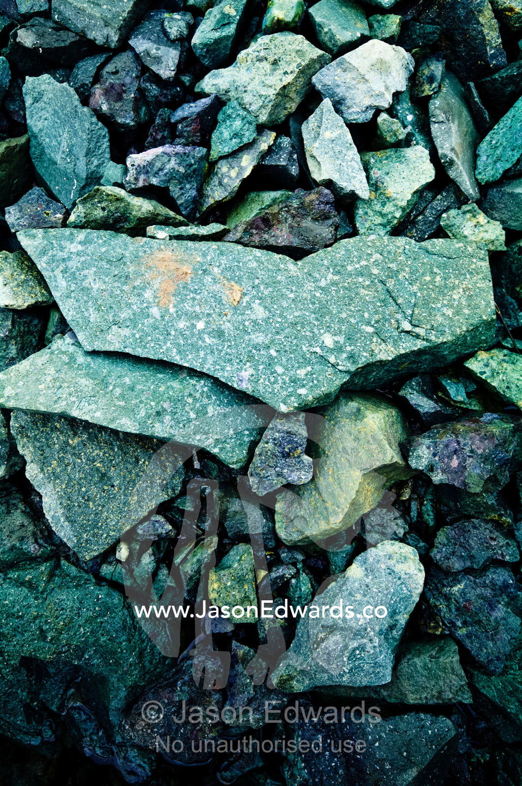 Green granite and shale rocks on a rugged Antarctic island shore. Detaille Island, Antarctic Peninsula, Antarctic Circle, Antarctica.