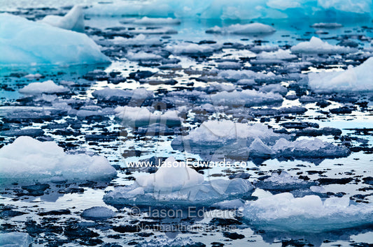 Crushed ice and fractured icebergs on the surface of a calm sea. Fish Islands, Flouder Island, The Minnows, Crystal Sound, Antarctic Peninsula, Antarctic Circle, Antarctica.