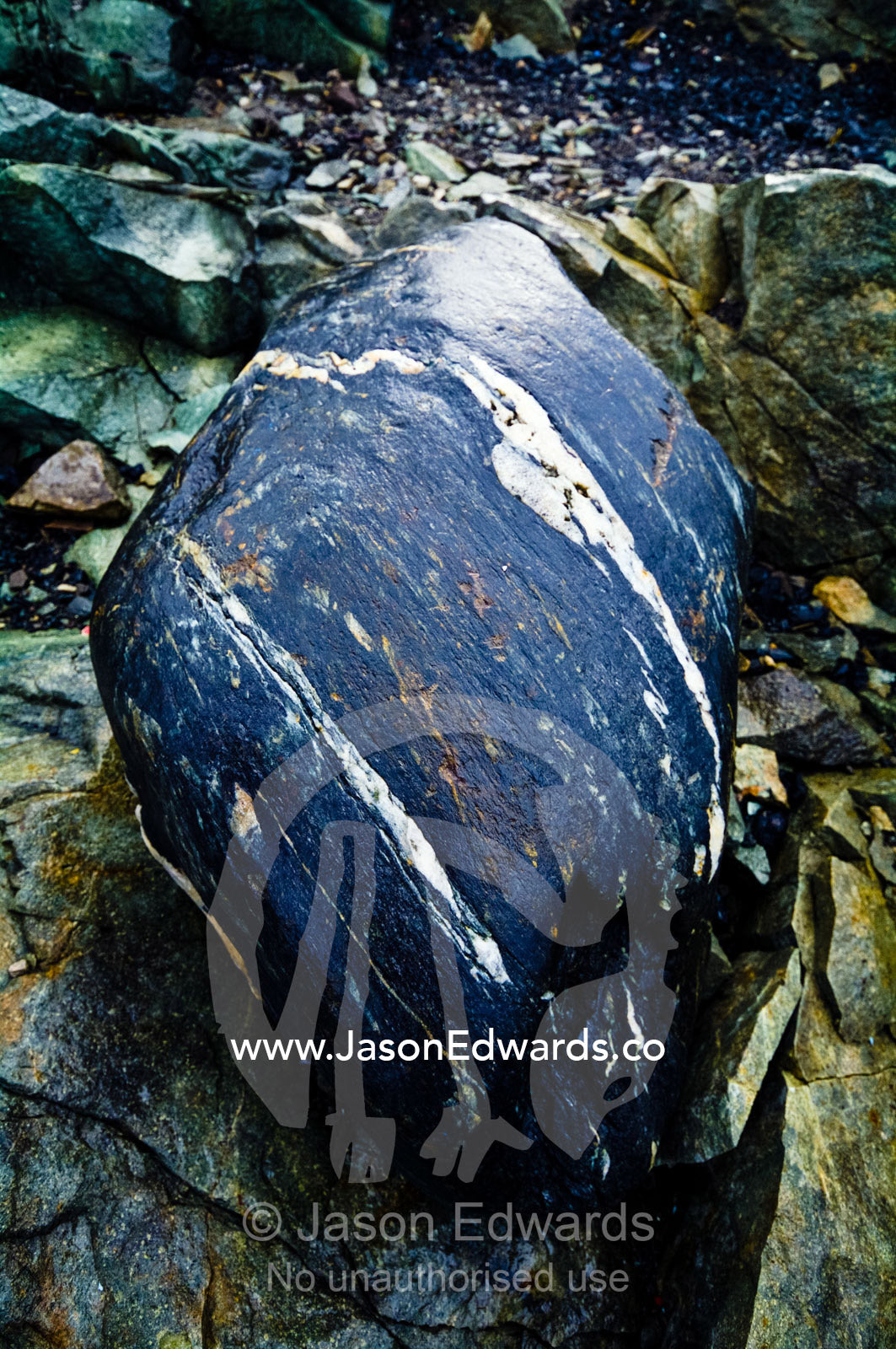 The ice-polished surface of a boulder made smooth by glacier erosion. Galindez Island, Argentine Islands, Faraday Islands, Antarctic Peninsula, Antarctica.